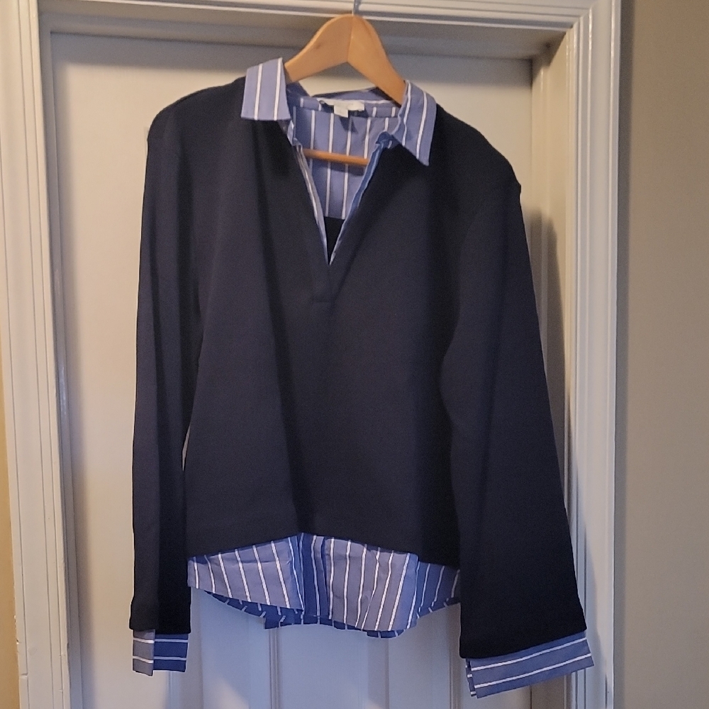 Ann Taylor Blue and White Striped Blouse